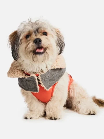 Sherpa Fleece Dog Coat—Orange