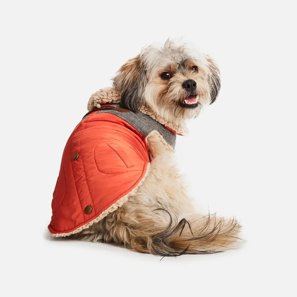 Sherpa Fleece Dog Coat—Orange - obrazek 2