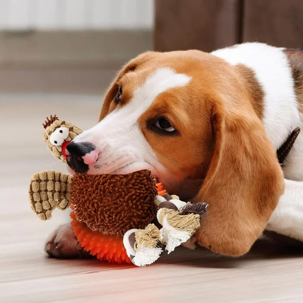 Pets Gigglers Chicken—Dog Toy - obrazek 2